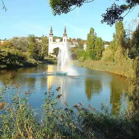 Modern Parkside Garden View *