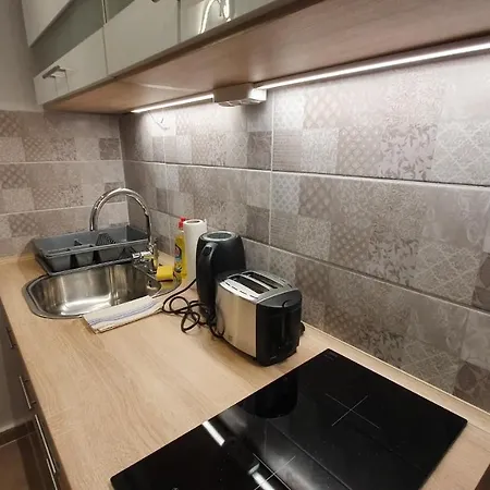 Modern Parkside Garden View