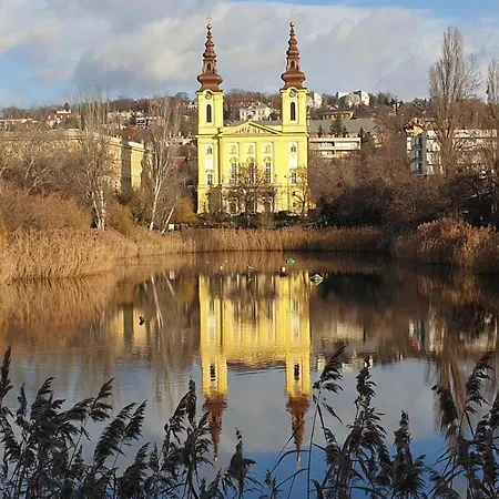 Modern Parkside Garden View *