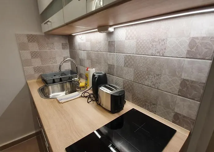 Modern Parkside Garden View