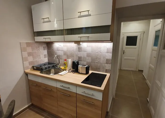 Apartament Modern Parkside Garden View